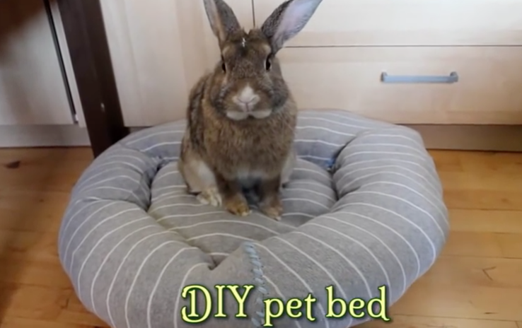 あらま 簡単 うさぎちゃんベッドを手作りしよう うさぎ動画ブログ