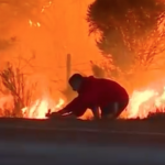 カリフォルニアで発生した野原の火事から、うさぎを救う男性！！！！